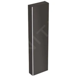 Geberit Acanto - Hoge Badkamerkast 1730x450 Mm, Zwart 500.637.16.1