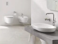 Grohe Essence - Wandbidet Met Overloop, PureGuard, Alpine Wit 3957400H -Duravit || Geberit || Grohe Verkoopwinkel 15afca6bdcd32fcd10ec124d
