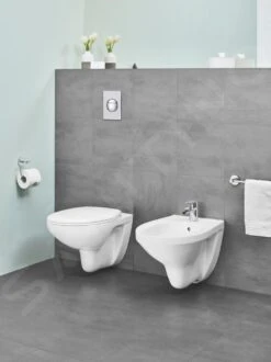 Grohe Bau Ceramic - Wandbidet Met Overloop, Wit Alpine 39433000 -Duravit || Geberit || Grohe Verkoopwinkel 2034a13052245f254a654744