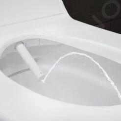 Geberit AquaClean - Tuma Comfort Douche-WC, Rimfree, Softclose, Geborsteld Roestvrij Staal 146.292.FW.1 -Duravit || Geberit || Grohe Verkoopwinkel 30f70b20a37ffcfe7b3357ee 2