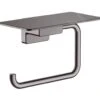Hansgrohe AddStoris - Toiletrolhouder Met Planchet, Geborsteld Zwart Chroom 41772340