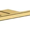 Hansgrohe AddStoris - Dubbele Toiletrolhouder, Gepolijst Goud 41748990