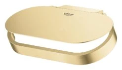 Grohe Selection - Toiletrolhouder, Geborsteld Cool Sunrise 41069GN0 -Duravit || Geberit || Grohe Verkoopwinkel 792b0887c80144bb62de66fa