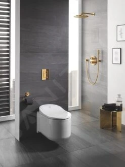 Grohe Sensia Arena - Hangende Douche WC, Alpine Wit 39354SH1 -Duravit || Geberit || Grohe Verkoopwinkel 80422218cca5578c8d2f3de8