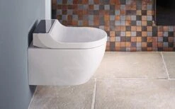 Geberit AquaClean - Tuma Comfort Douche Wc Bril, Softclose, Geborsteld Roestvrij Staal 146.272.FW.1 -Duravit || Geberit || Grohe Verkoopwinkel 85a5bd8592ac7514e60f4d5c