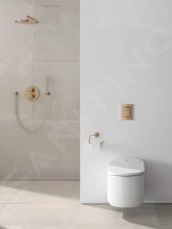 Grohe Sensia Arena - Hangende Douche WC, Alpine Wit 39354SH1 -Duravit || Geberit || Grohe Verkoopwinkel ccaee0089bfee59586c736d8