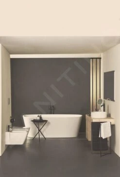 Ideal Standard CeraLine - Bidetkraan Met Waste, Zwart BC197XG -Duravit || Geberit || Grohe Verkoopwinkel dad05044e9907376e55932f7