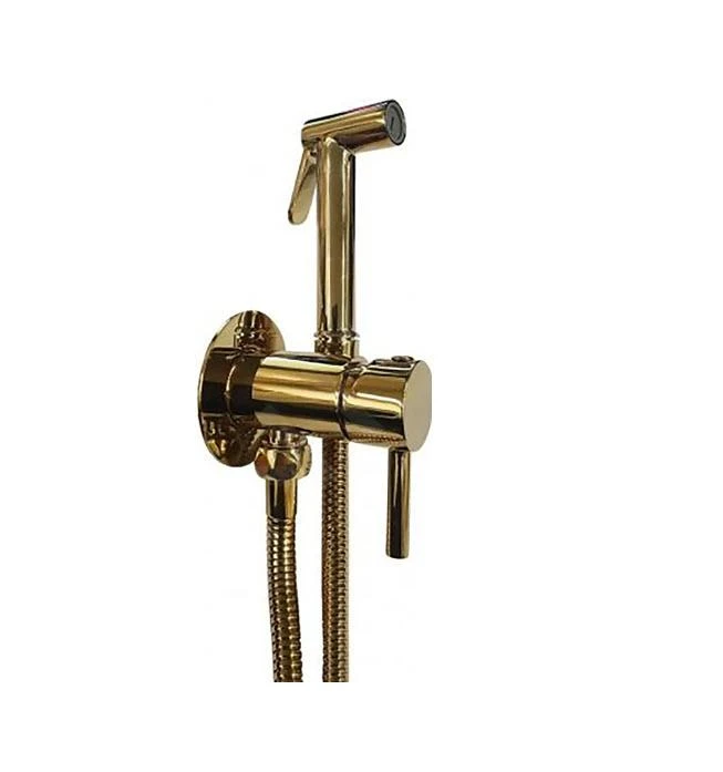 Paffoni Bidet Kit - Inbouw Bidetkraan Met Handdouche, Goud ZDUP110HG 1 Paffoni Bidet Kit - Inbouw Bidetkraan Met Handdouche, Goud ZDUP110HG