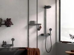 Hansgrohe WallStoris - Haakje, Mat Zwart 27914670 -Duravit || Geberit || Grohe Verkoopwinkel ed69ade533789bb626a63a86